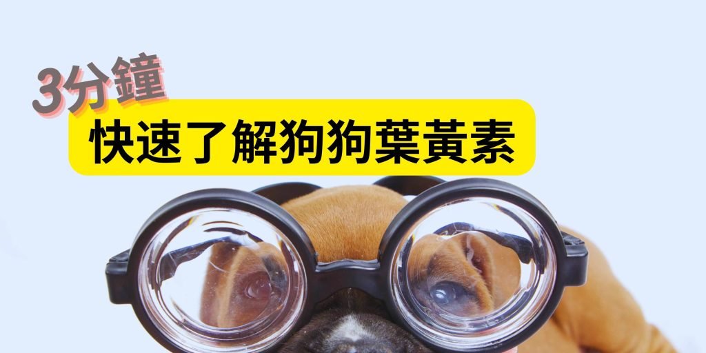 葉黃素是黃斑色素的主要成分,有助於保護狗狗視細胞免受自由基損傷