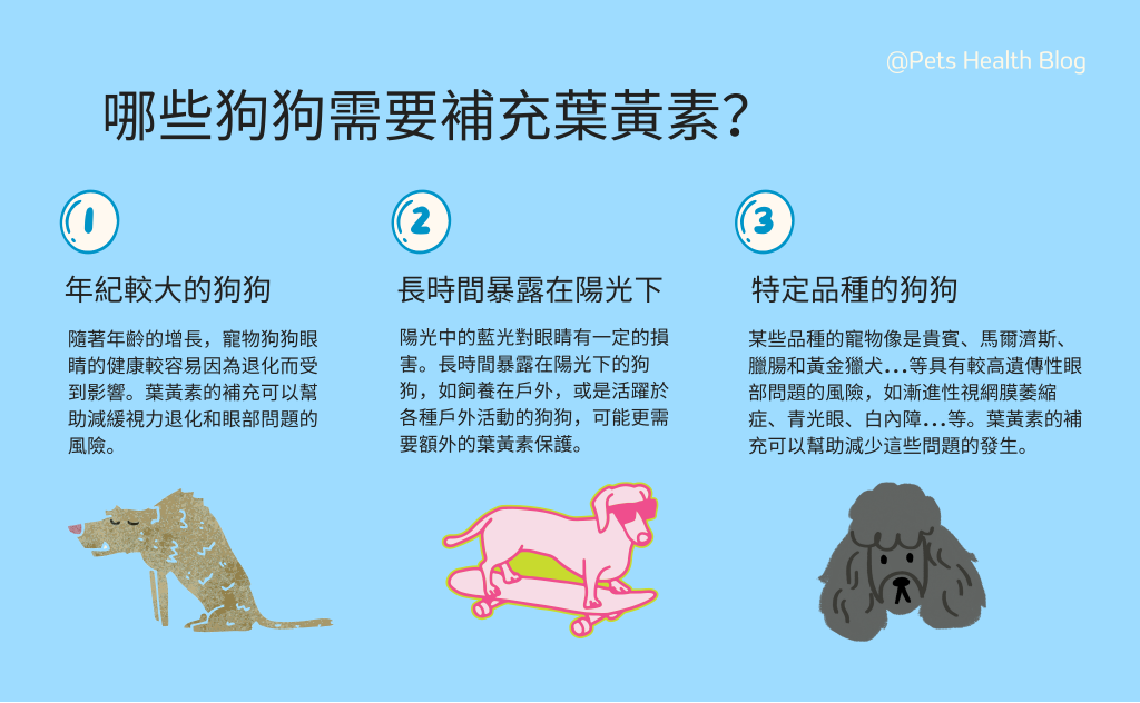 狗狗年紀大、長時間暴露在陽光下或是特定品種的狗狗因具有較高的眼疾風險,特別需要額外補充狗狗葉黃素