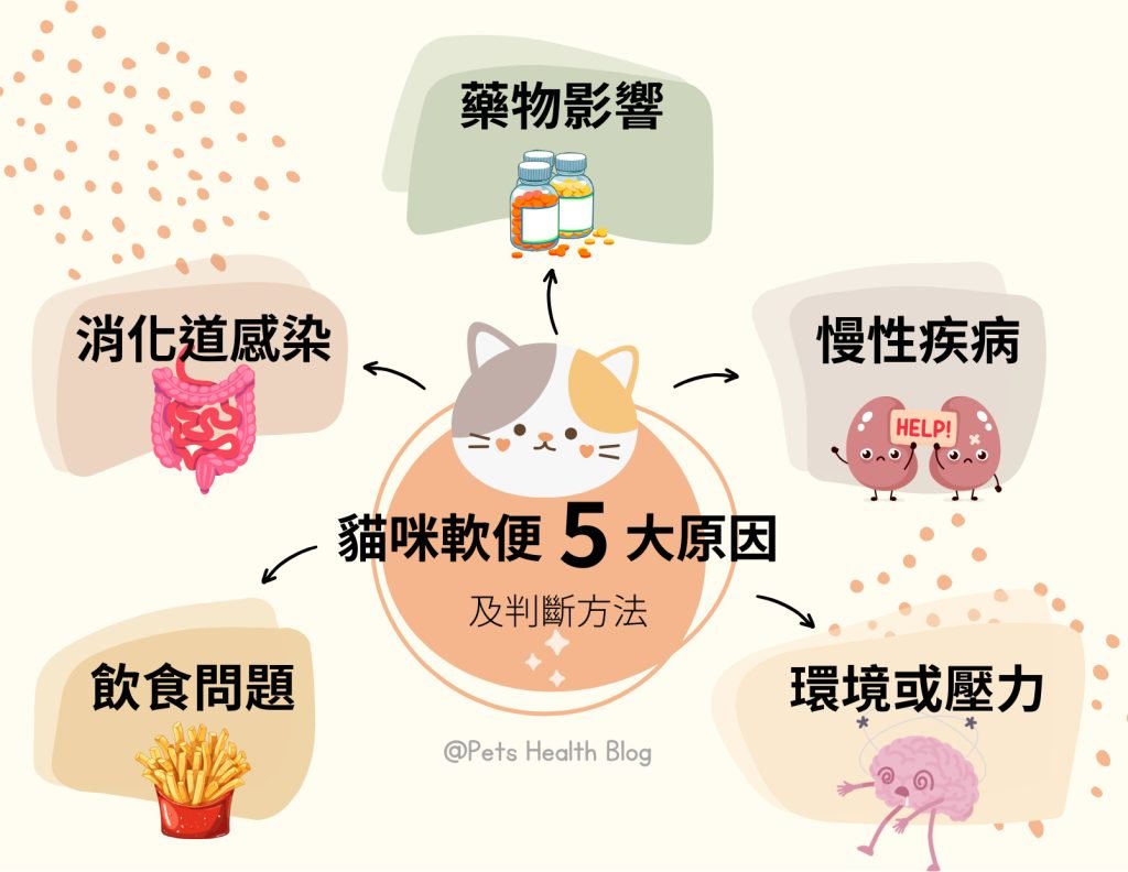 貓咪為什麼會軟便？貓咪的軟便的5大原因為：飲食問題、消化道感染、藥物影響、疾病或慢性病以及環境變化或壓力。
