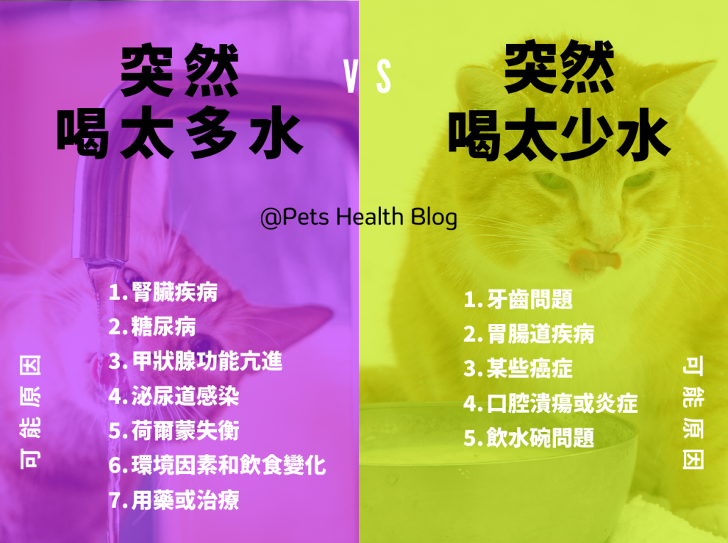 貓咪突然喝太多水的可能原因為:腎臟疾病, 糖尿病, 甲狀腺功能亢進, 泌尿道感染, 荷爾蒙失衡, 環境因素和飲食變化
, 用藥或治療。突然喝太少水的原因可能為:牙齒問題, 胃腸道疾病, 某些癌症, 口腔潰瘍或炎症和飲水碗問題