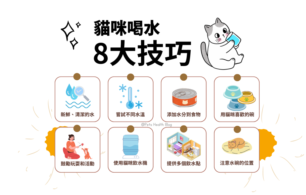 貓咪不喝水怎麼辦？本文提出8個實用技巧，包含提供新鮮、清潔的水; 使用貓咪喜歡的水碗; 提供多個飲水點; 使用貓咪飲水機; 嘗試不同的水溫; 添加水分到食物中; 鼓勵玩耍和活動以及注意水碗的位置